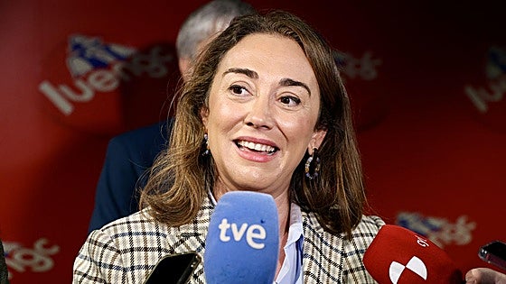 Castilla y León no registra ningún nuevo foco de gripe aviar desde hace un mes