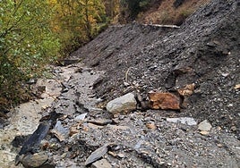 Imagen del derrumbe en la carretera de acceso a Peñalba de Santiago.