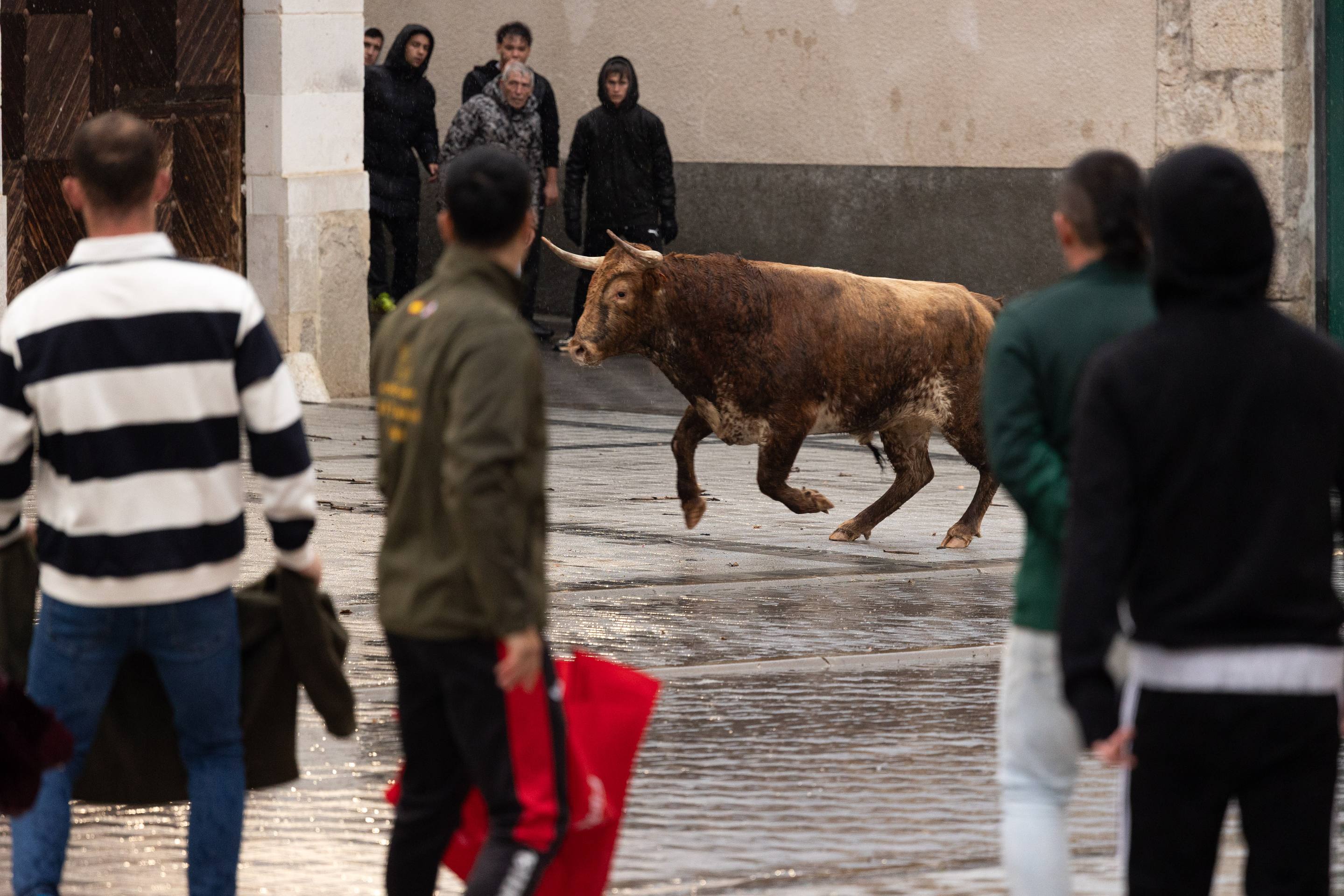 Las imágenes del encierro en Traspinedo