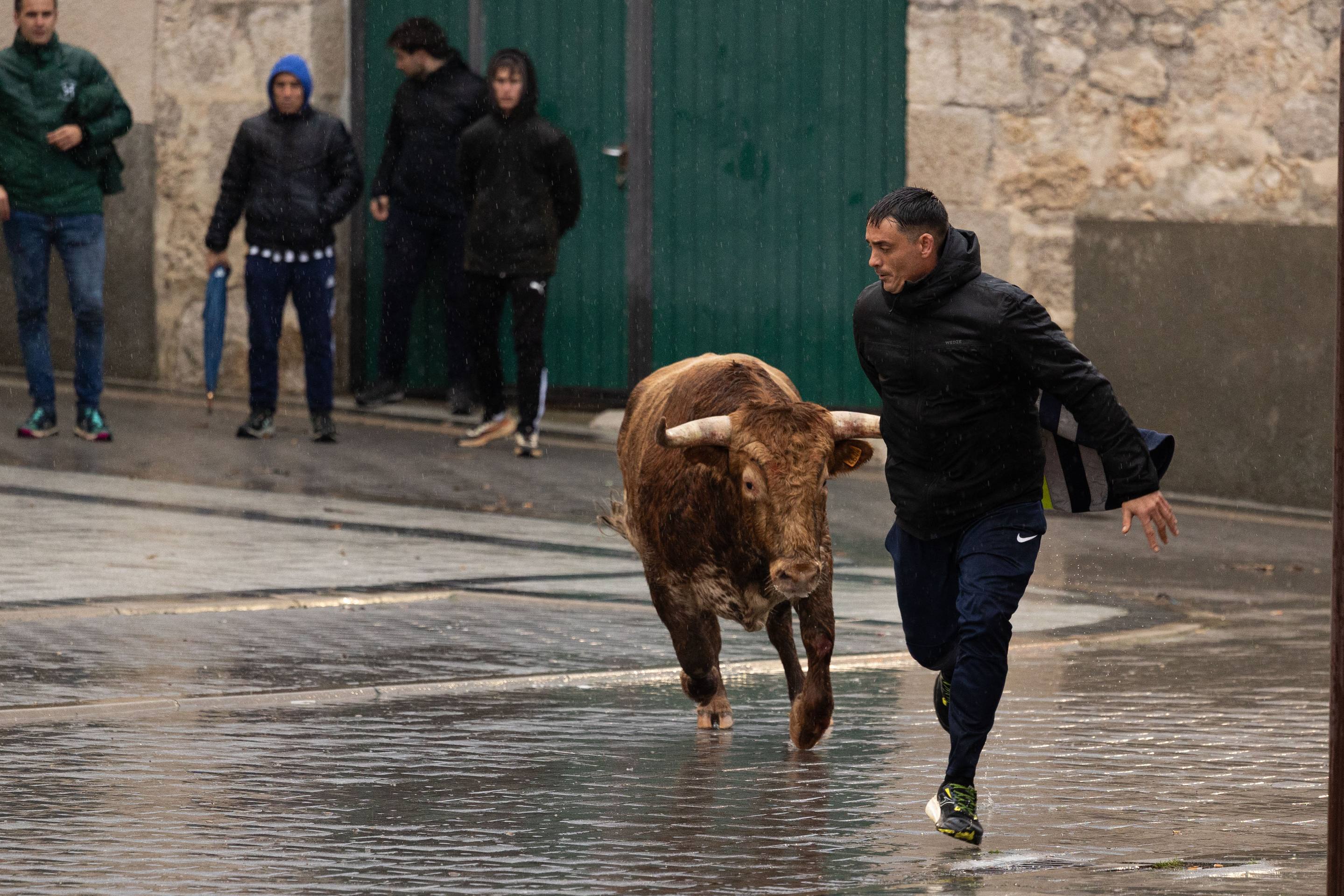 Las imágenes del encierro en Traspinedo