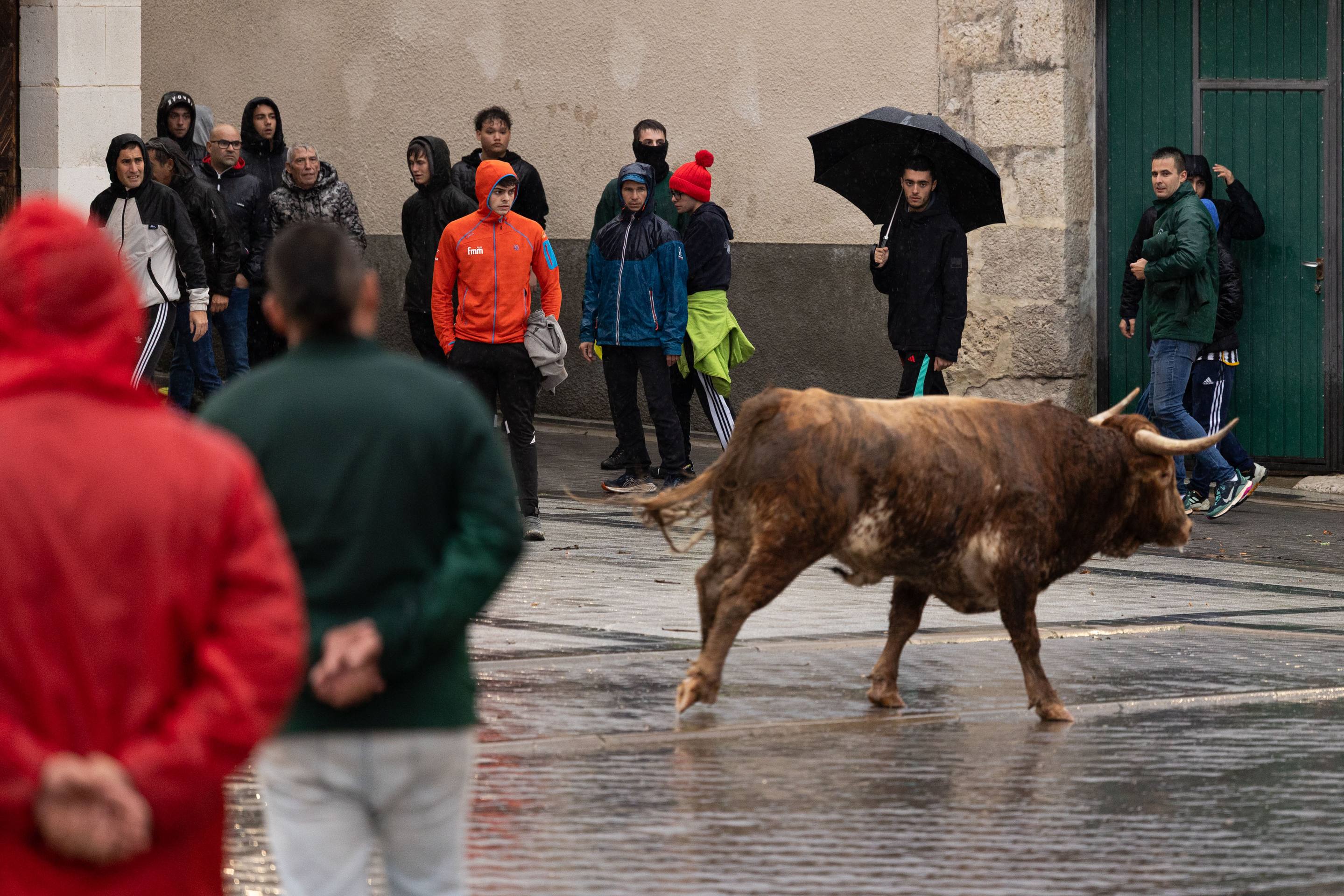 Las imágenes del encierro en Traspinedo