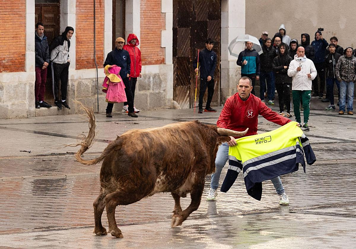 Las imágenes del encierro en Traspinedo