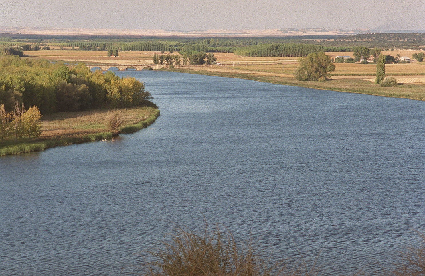 Espacio natural de las Riberas de Castilla. 26 de septiembre de 2000.