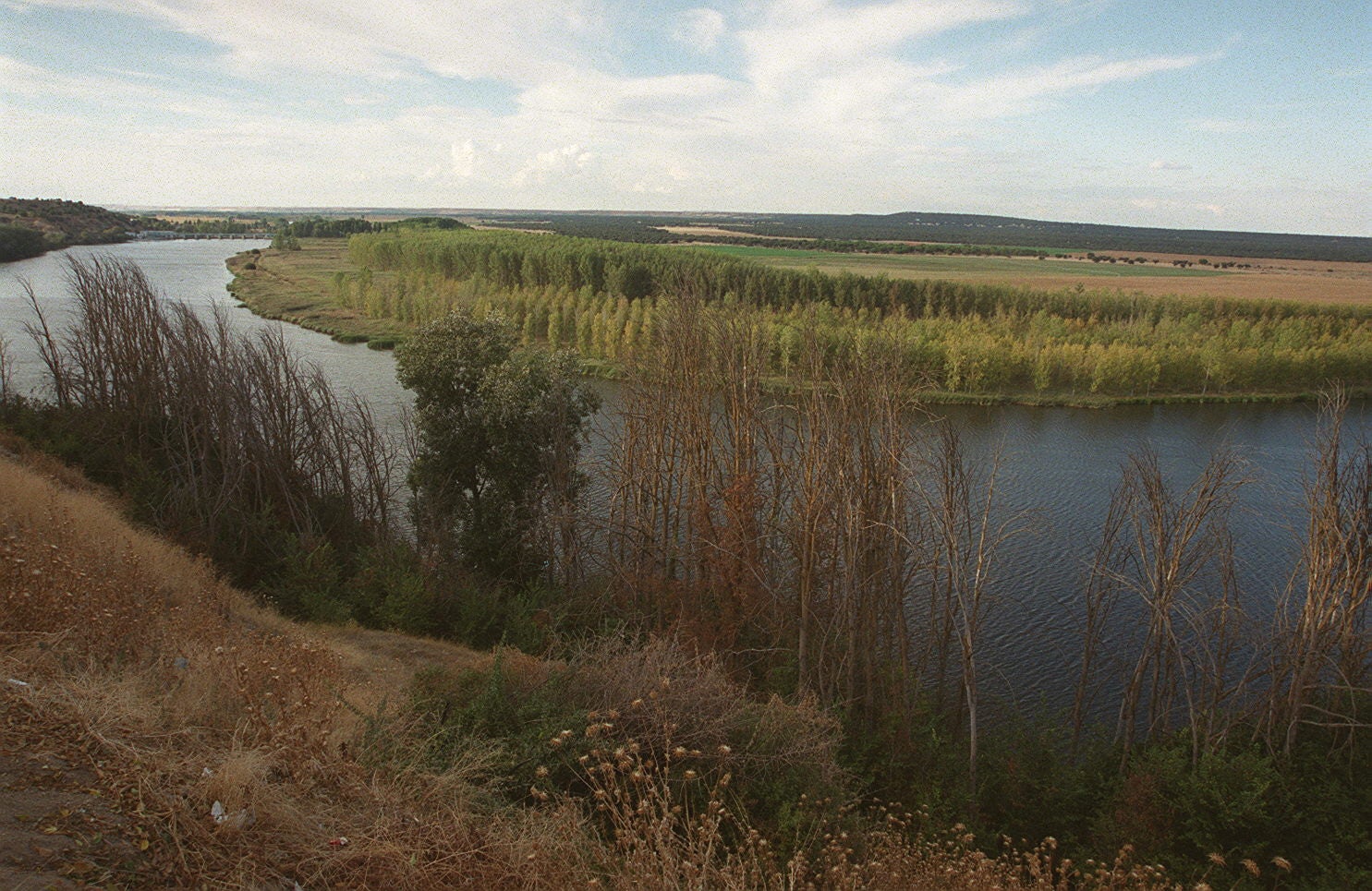 Espacio natural de las Riberas de Castilla. 26 de septiembre de 2000.