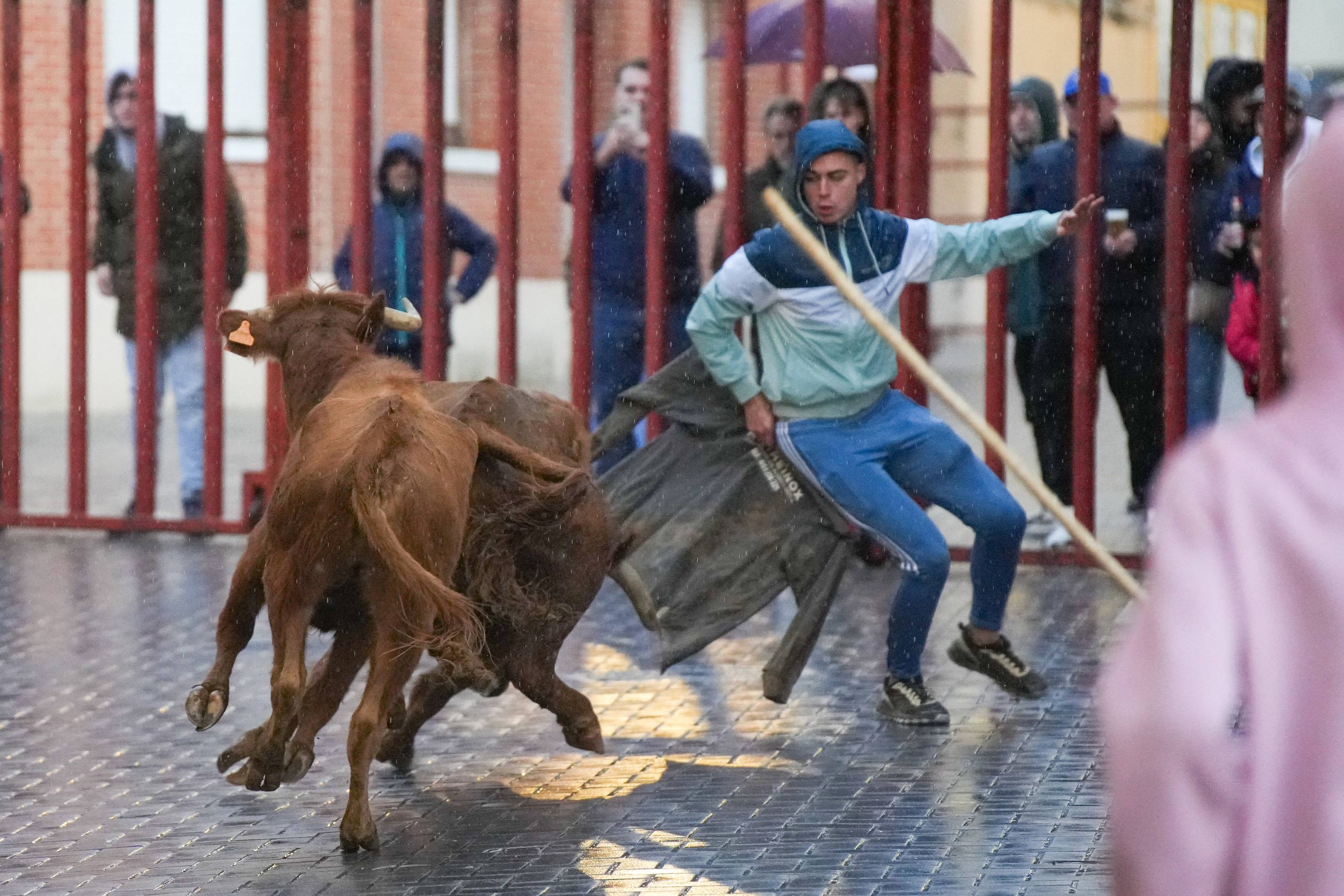 El encierro de este domingo en Traspinedo, en imágenes