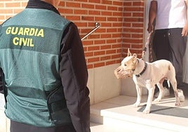 Un agente, con el perro potencialmente peligroso.