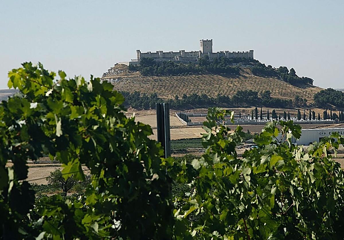 Dos bodegas de Valladolid entre las 50 mejores del mundo