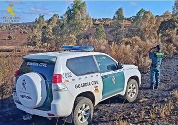 Investigado un agricultor por un incendio que calcinó 53 hectáreas en Tierra de Campos