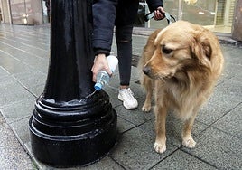 Un hombre limpia con agua la micción de su perro junto a una farola.