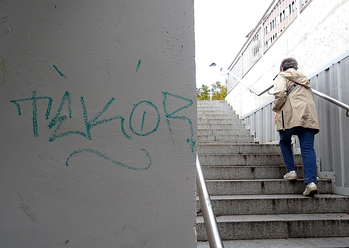 Imagen secundaria 1 - Pïntadas en torno al paso peatonal de Padre Claret.