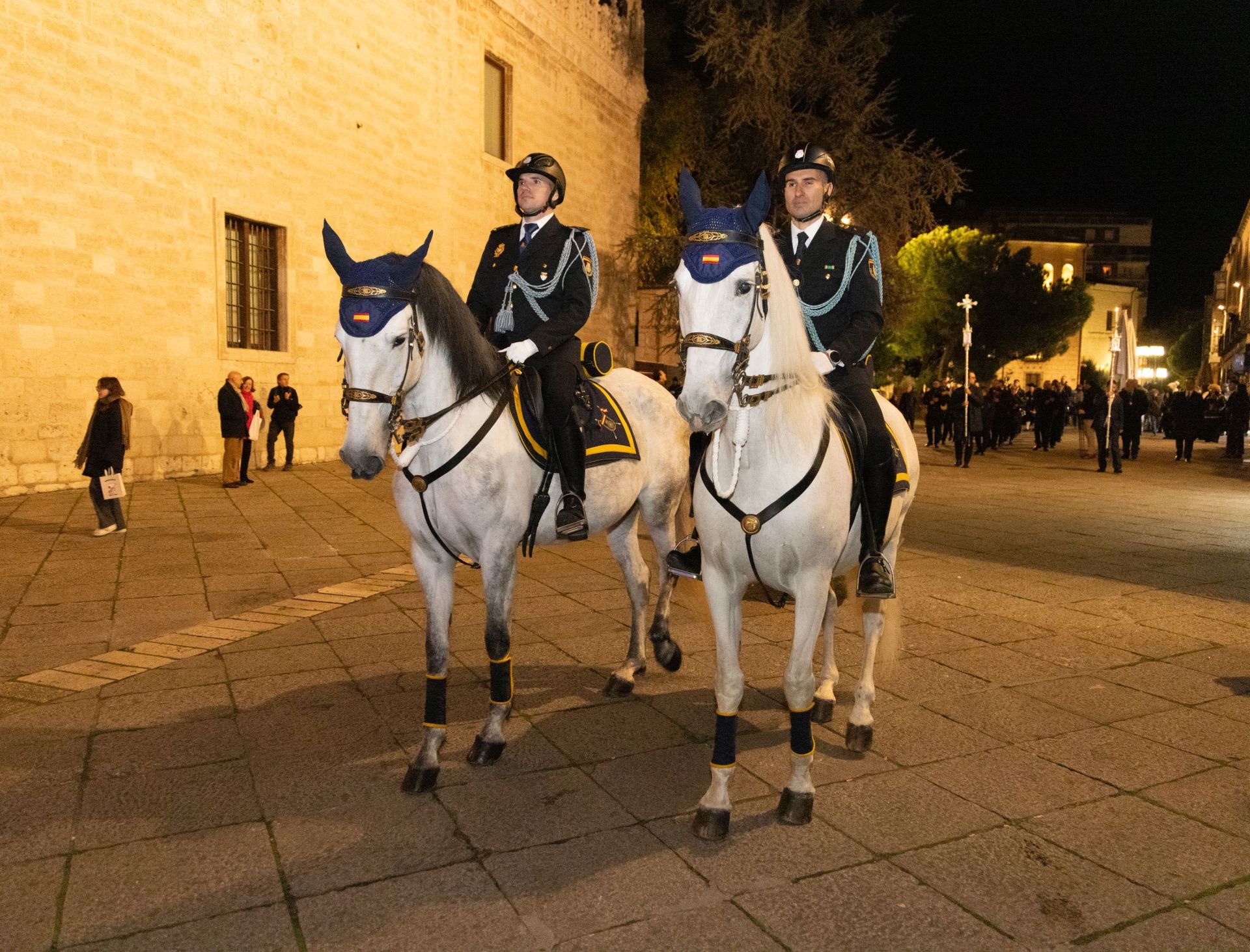Las imágenes de la procesión de la Virgen de la Piedad en Valladolid
