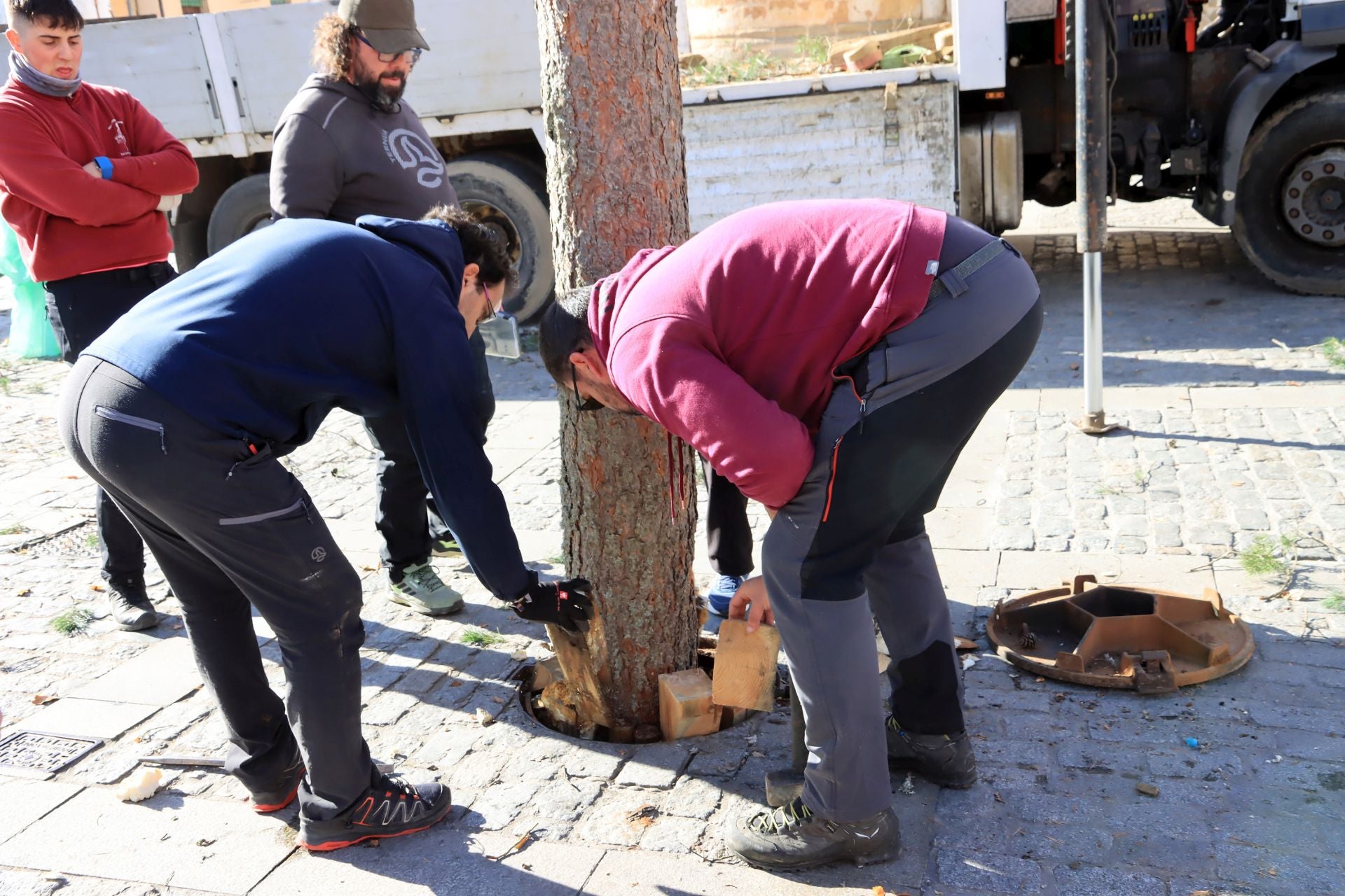 Así ha llegado el pino navideño de San Lorenzo