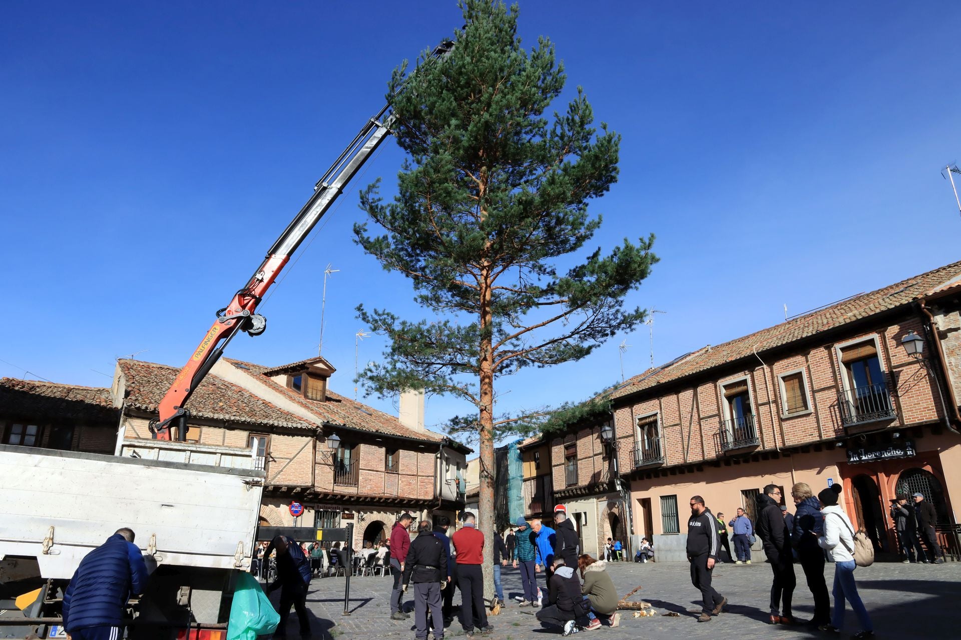 Así ha llegado el pino navideño de San Lorenzo