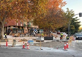 Obras del carril bici en el Paseo de Juan Carlos I.