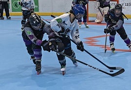 Una acción del partido de las Panteras.