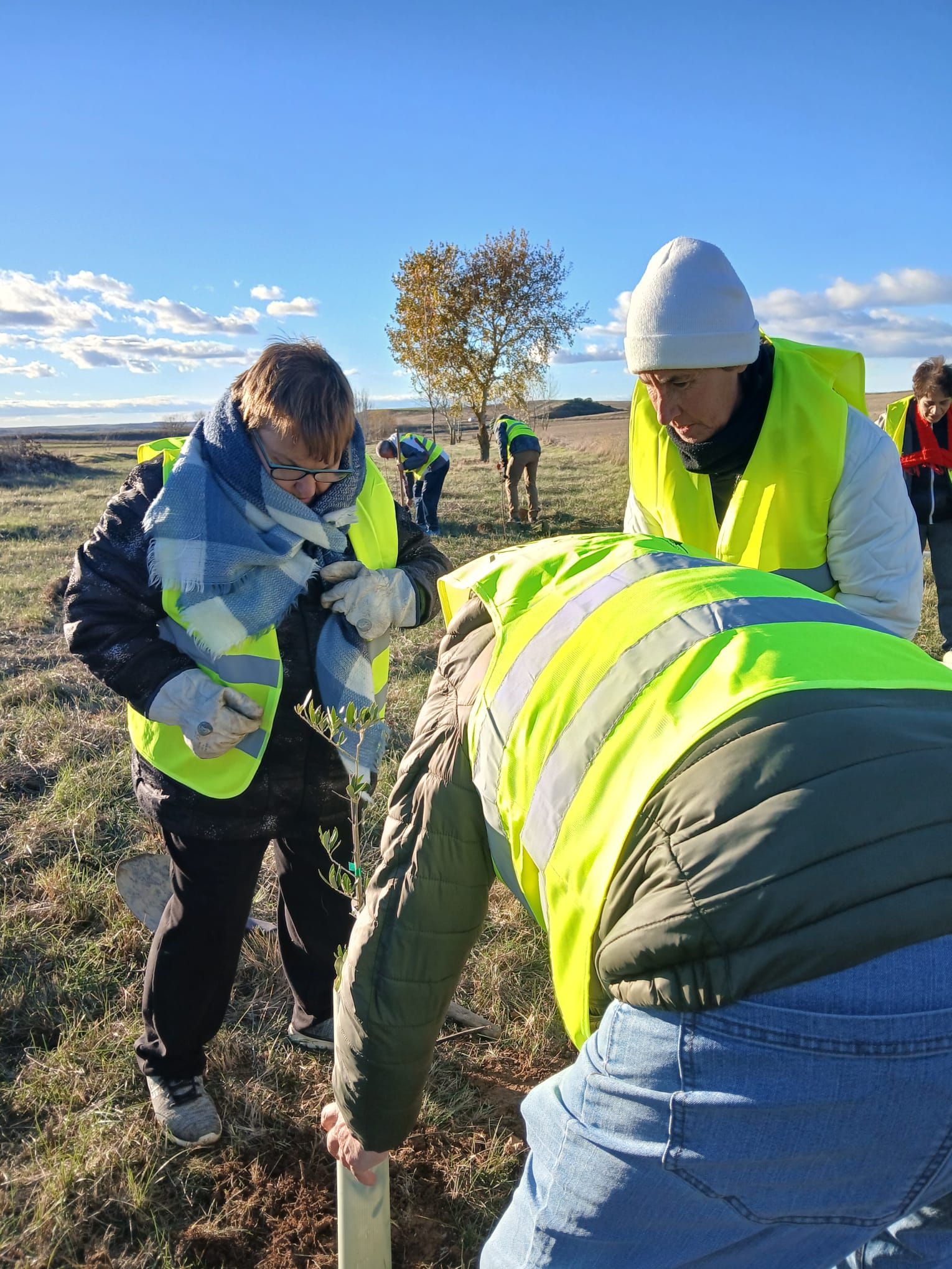 En imagénes la jornada de reforestación celebrada en Villacarralón