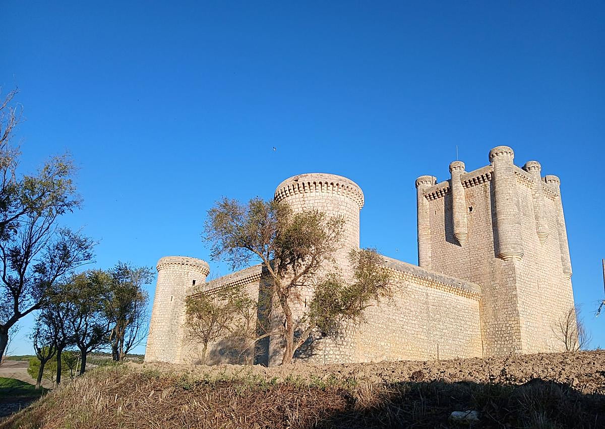 Imagen secundaria 1 - Torrelobatón.
