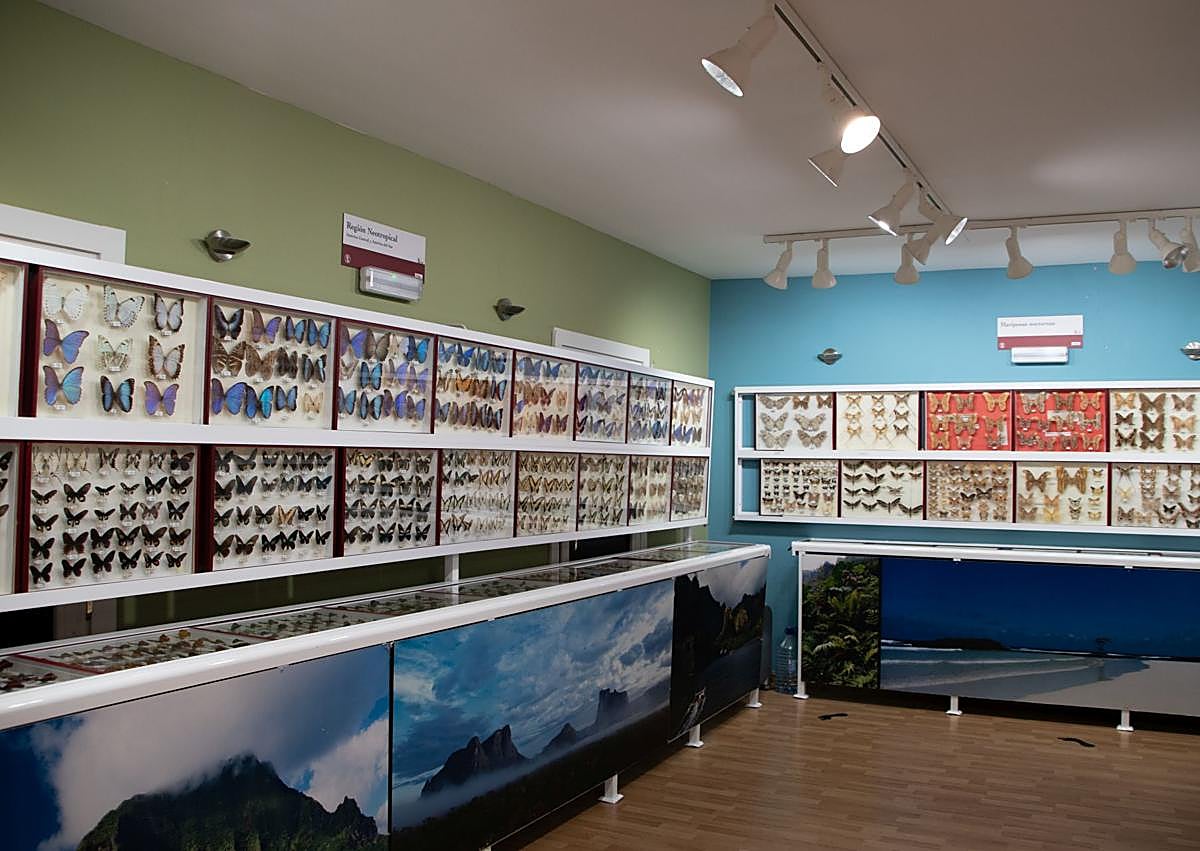 Imagen secundaria 1 - Monasterio de La Santa Espina, exposición de mariposas y embalse. 