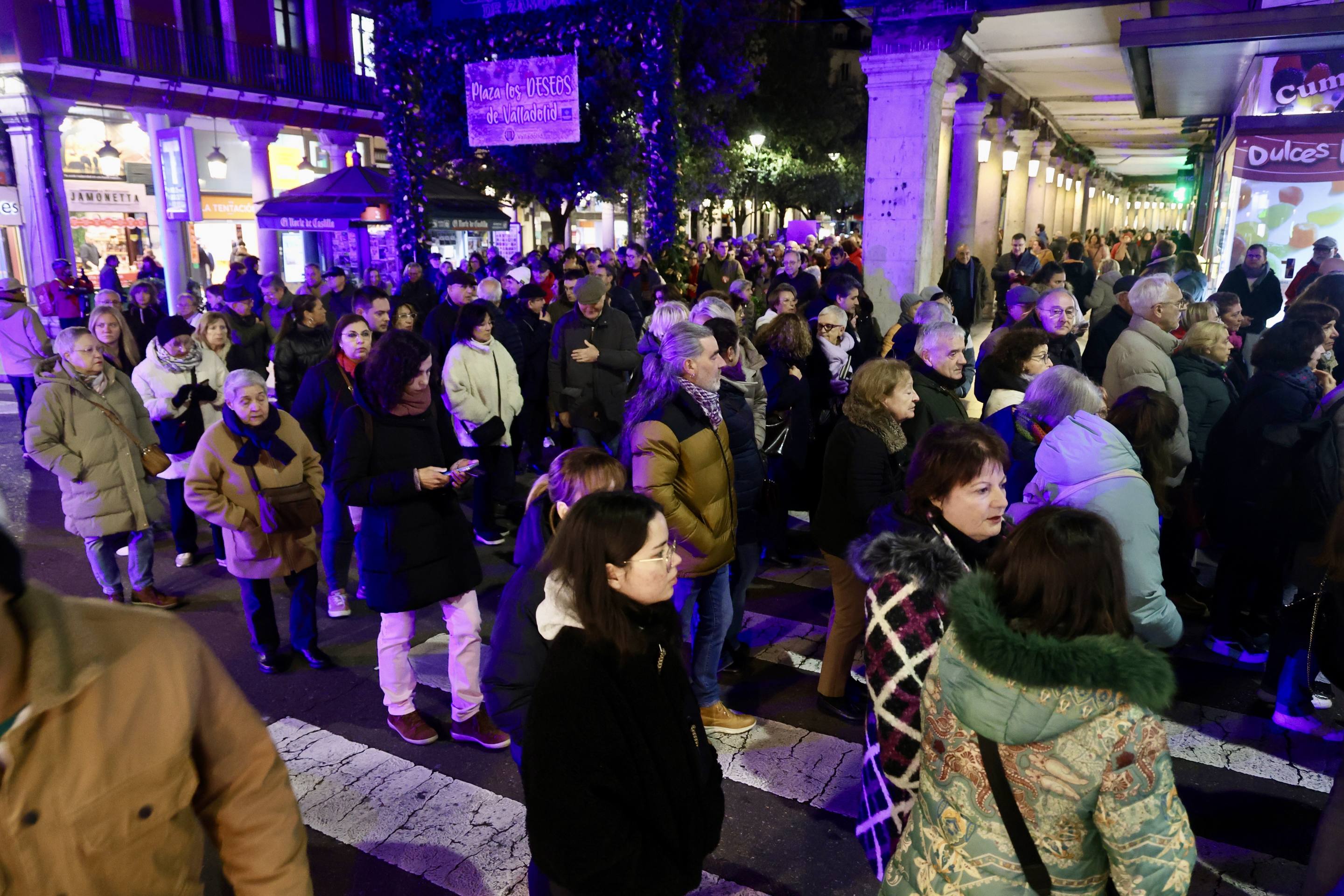 Las reivindicaciones por el 25N en Valladolid, en imágenes