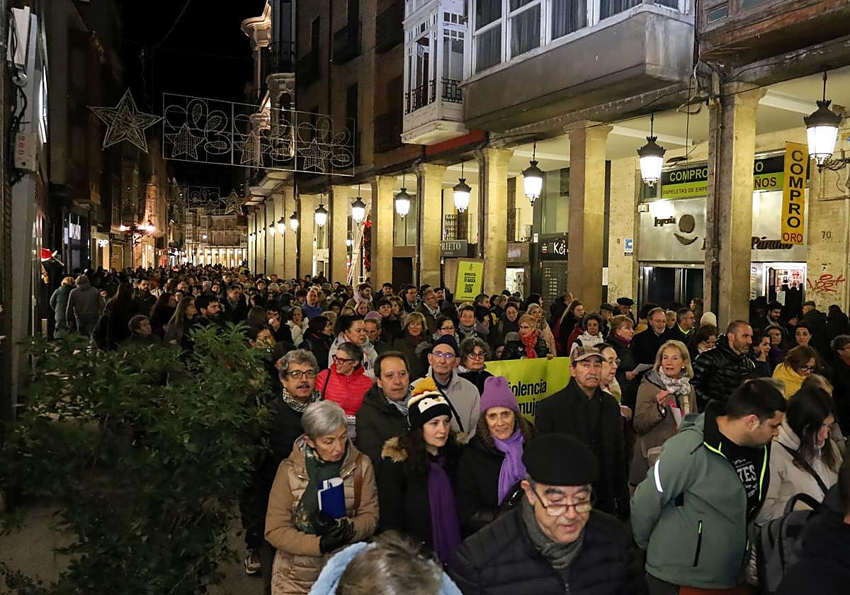 La manifestación del 25N en Palencia en imágenes