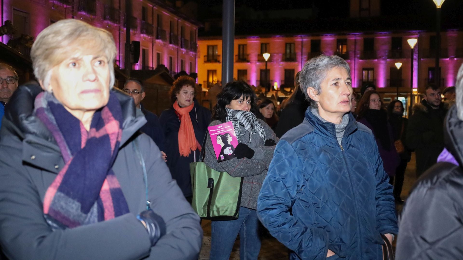 La manifestación del 25N en Palencia en imágenes