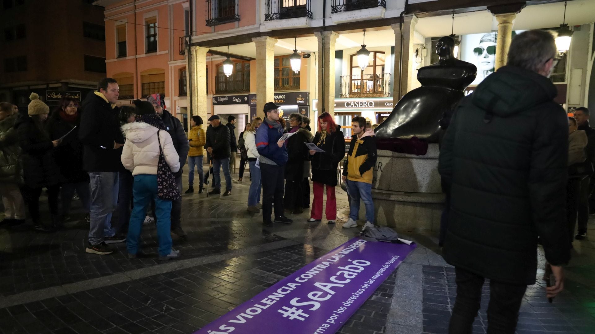 La manifestación del 25N en Palencia en imágenes