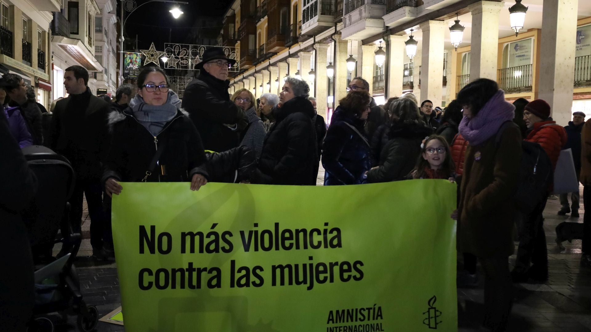 La manifestación del 25N en Palencia en imágenes