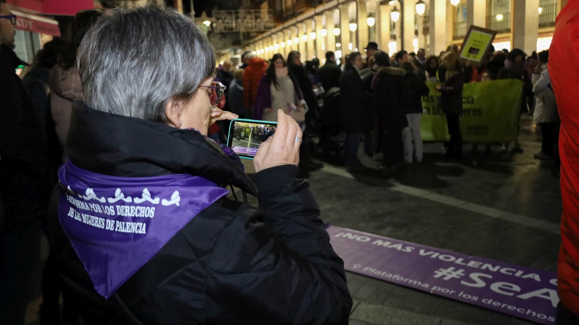 La manifestación del 25N en Palencia en imágenes