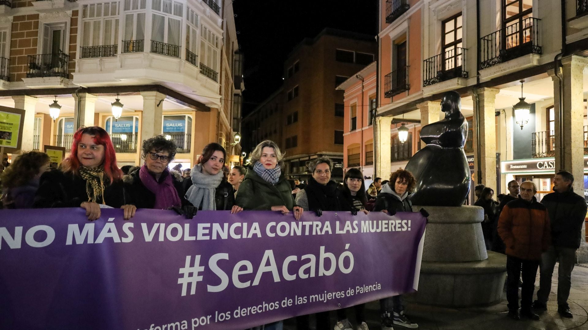 La manifestación del 25N en Palencia en imágenes