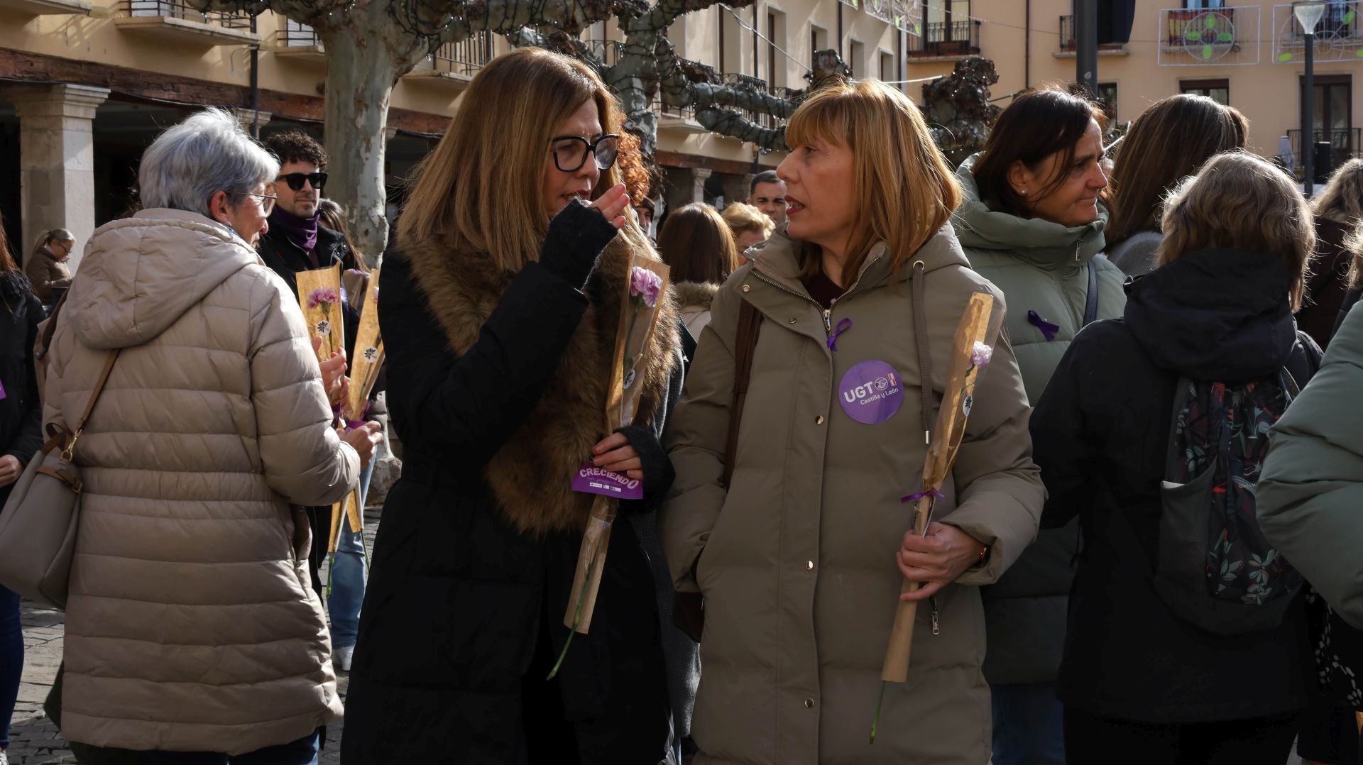 Así reclama Palencia el fin de la violencia contra las mujeres