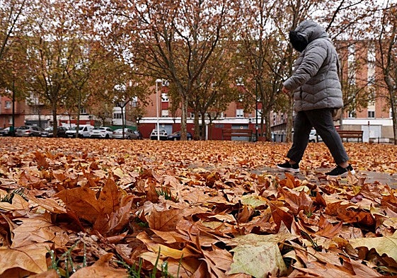 Una mujer camina por la plaza Ribera de Castilla, alfombrada de hojas secas.