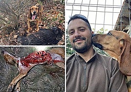 Imagenes de Wfi con su dueño y su trágico final en febrero de 2024.