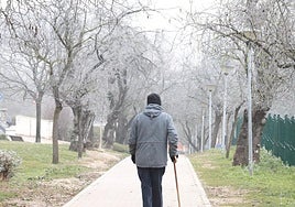 Imagen de archivo de una helada y cencellada en Valladolid.