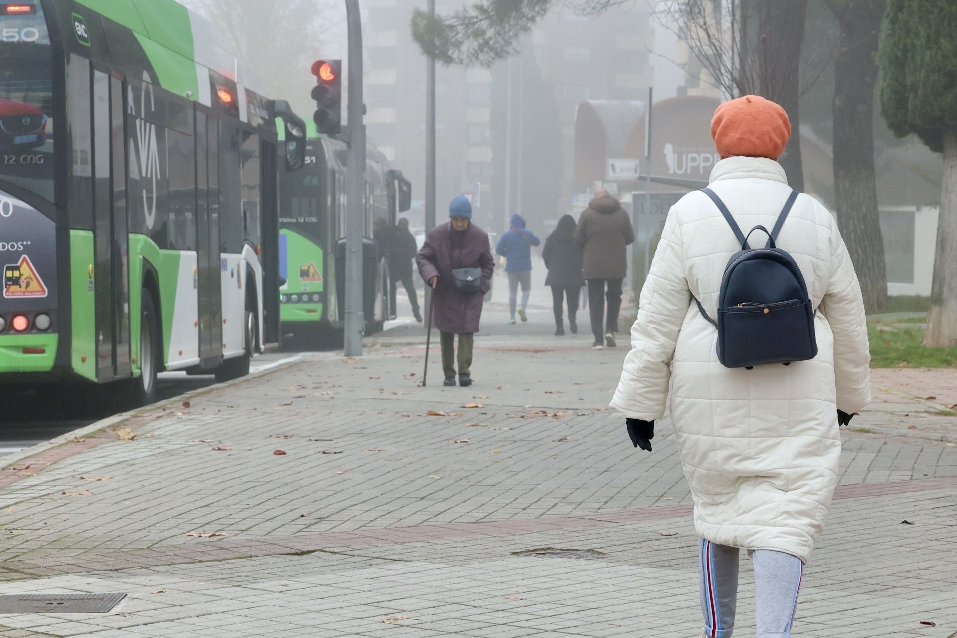 La calle Adolfo Miaja de la Muela, en el barrio de Parquesol