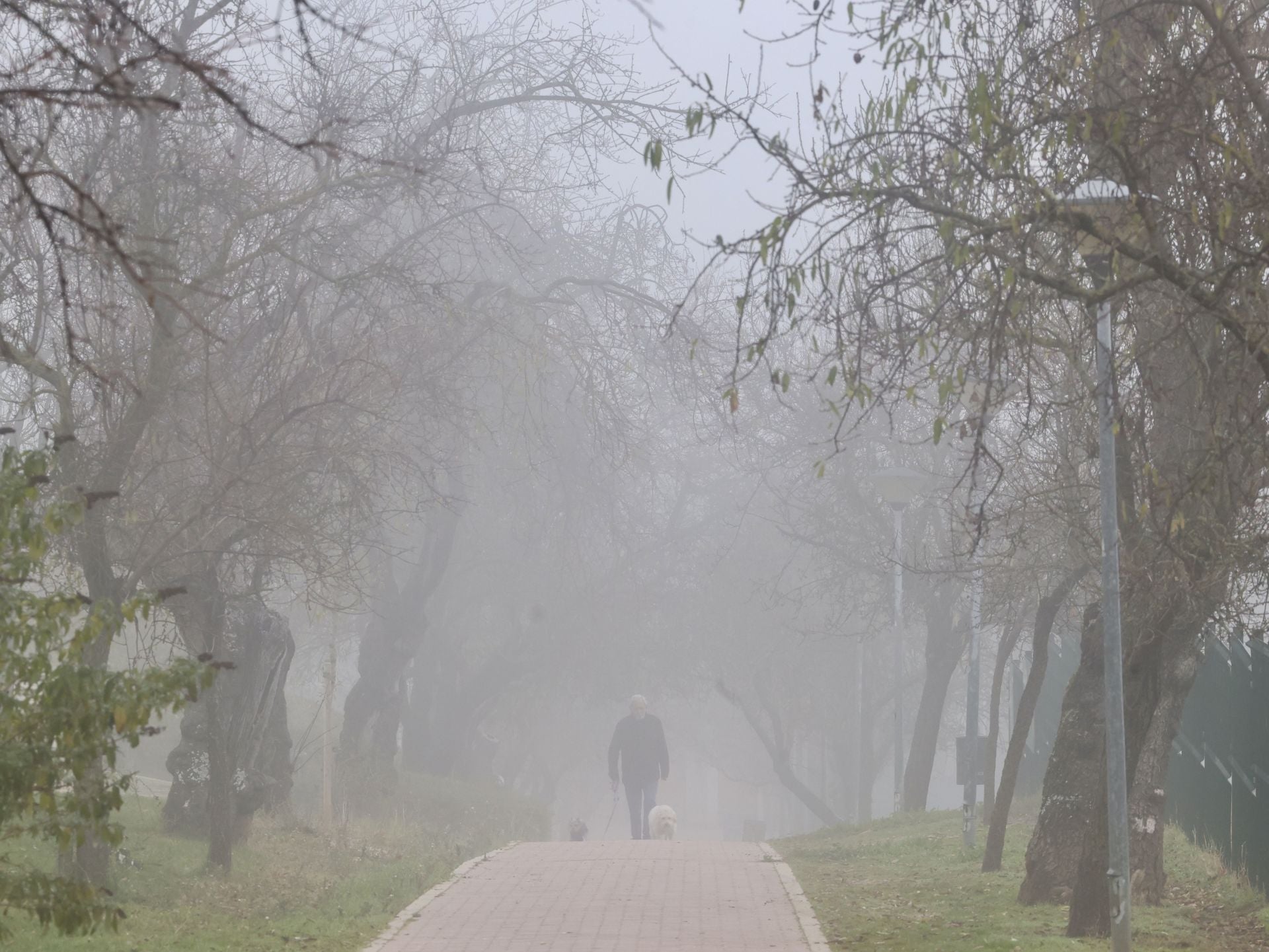 Paseo de los Almendros, Parquesol