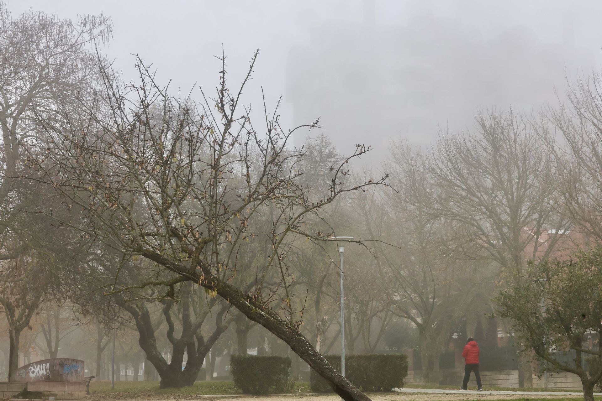 Paseo de los Almendros, Parquesol