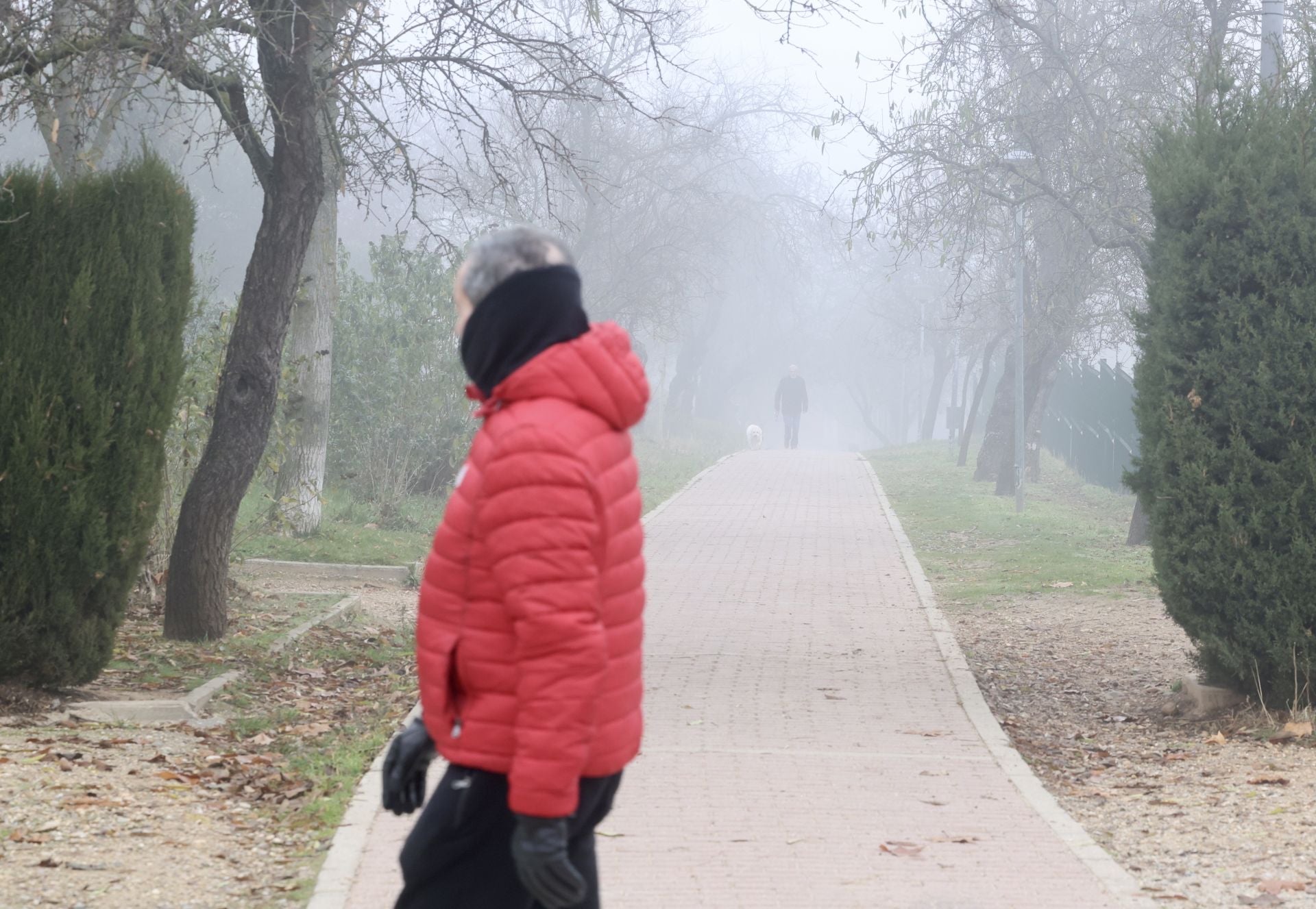 Paseo de los Almendros, Parquesol