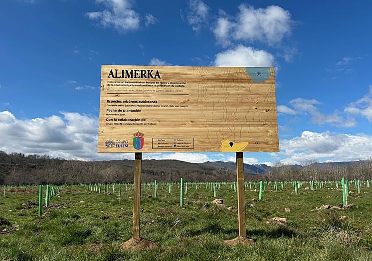 En Zamora, el Bosque Alimerka, inaugurado en marzo de 2025 en Trefacio.