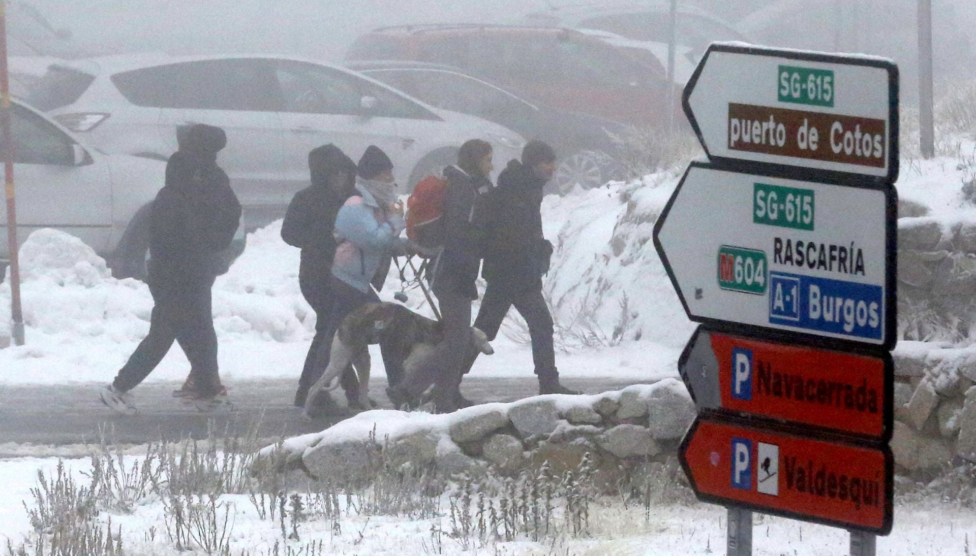 La nieve alfombra la sierra