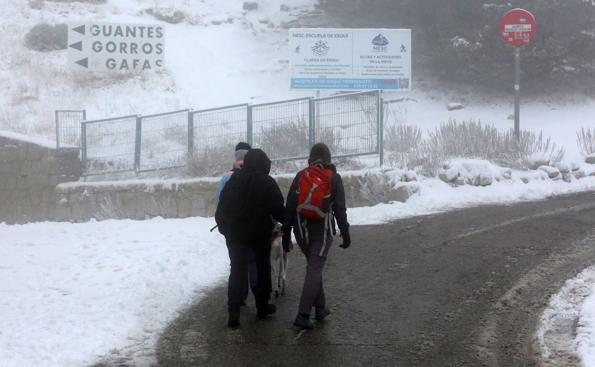 La nieve alfombra la sierra