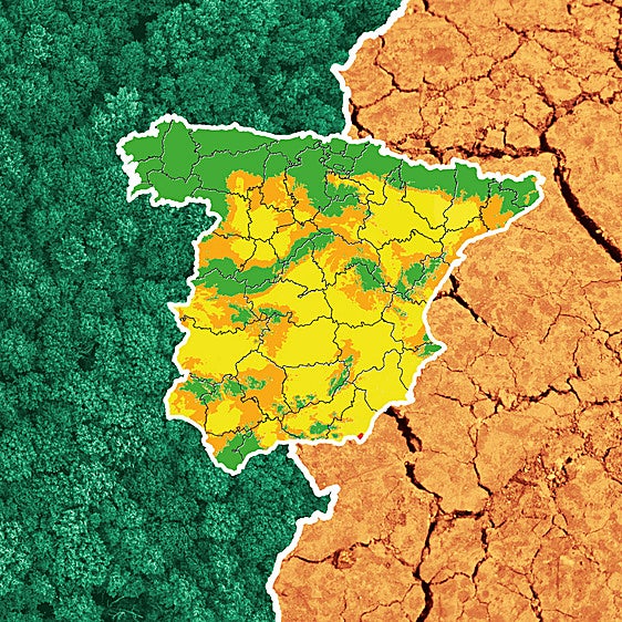 El riesgo de desertización se cierne sobre Valladolid: el 80% de su territorio está degradado