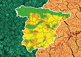 El riesgo de desertización se cierne sobre Valladolid: el 80% de su territorio está degradado