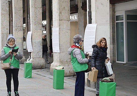 Homenaje de la Asociación del Cáncer de Palencia a sus voluntarios en la Calle Mayor.