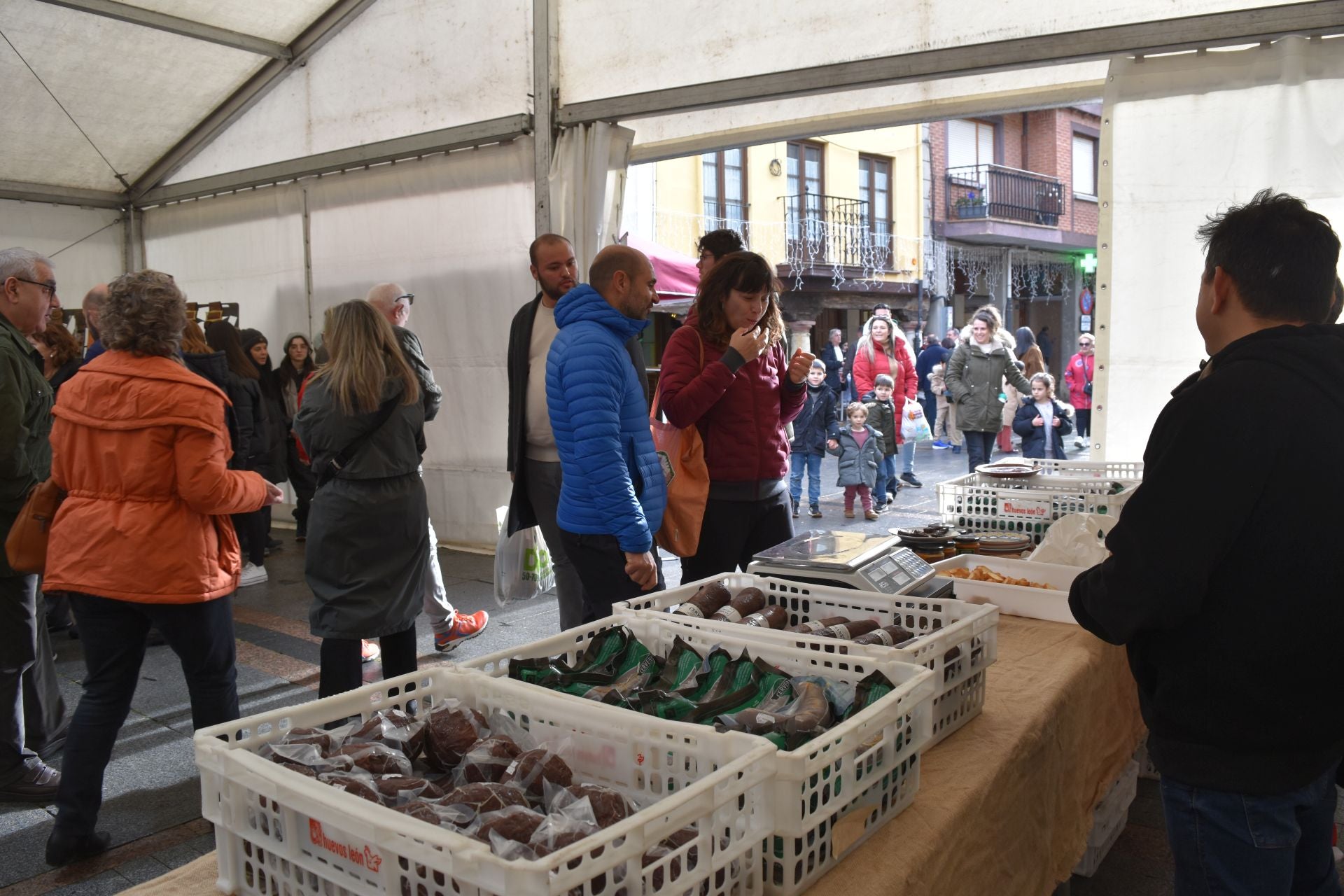 Cervera acoge la Feria de Ganado sin reses vivas