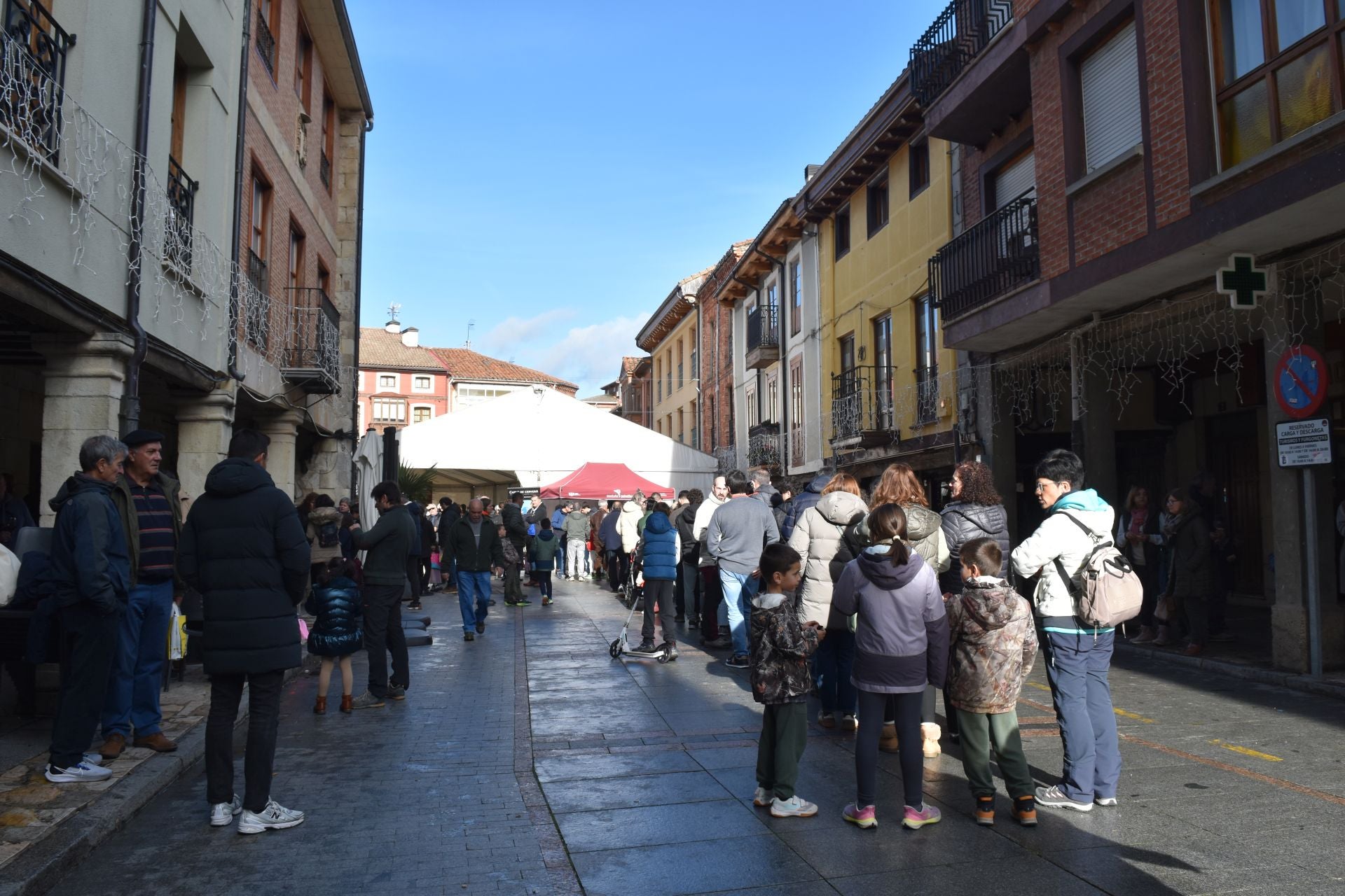 Cervera acoge la Feria de Ganado sin reses vivas