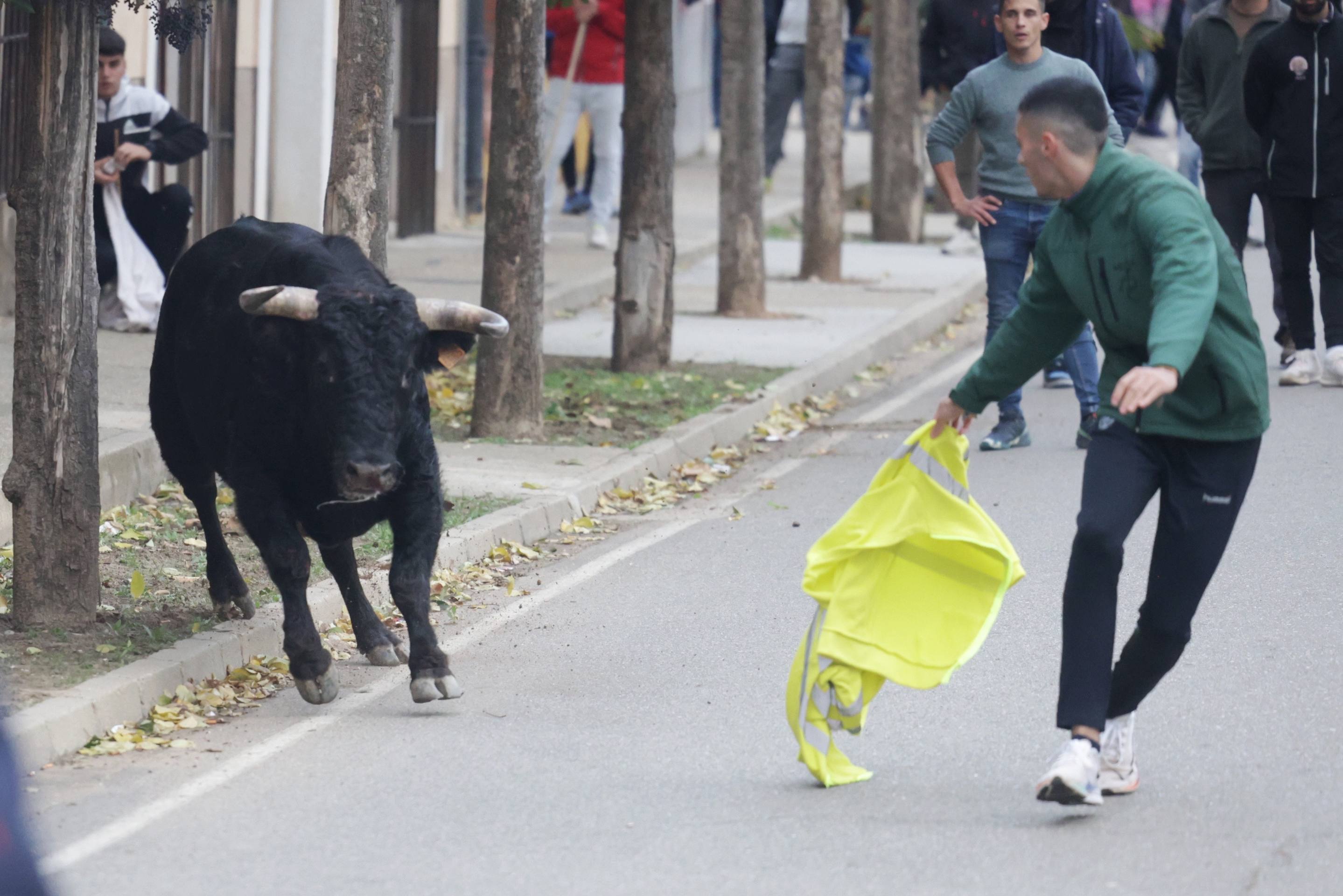 El encierro en Pollos, en imágenes