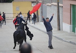 Imágenes del encierro celebrado este domingo en la localidad vallisoletana de Pollos por la festividad de San Nicolás