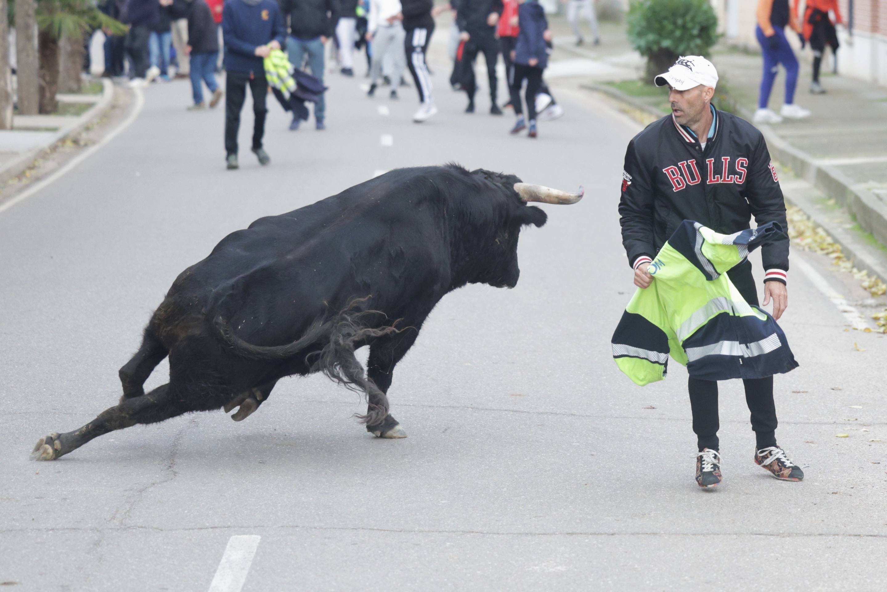 El encierro en Pollos, en imágenes