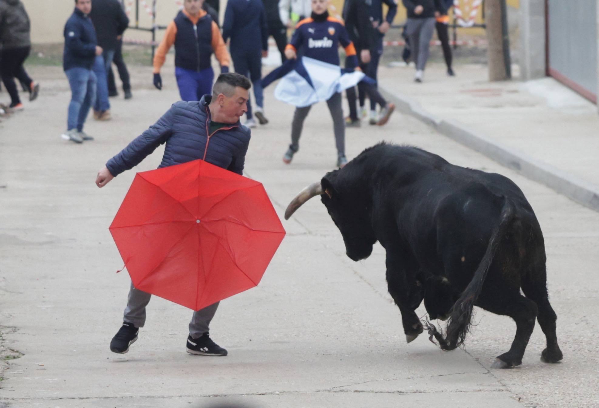 El encierro en Pollos, en imágenes