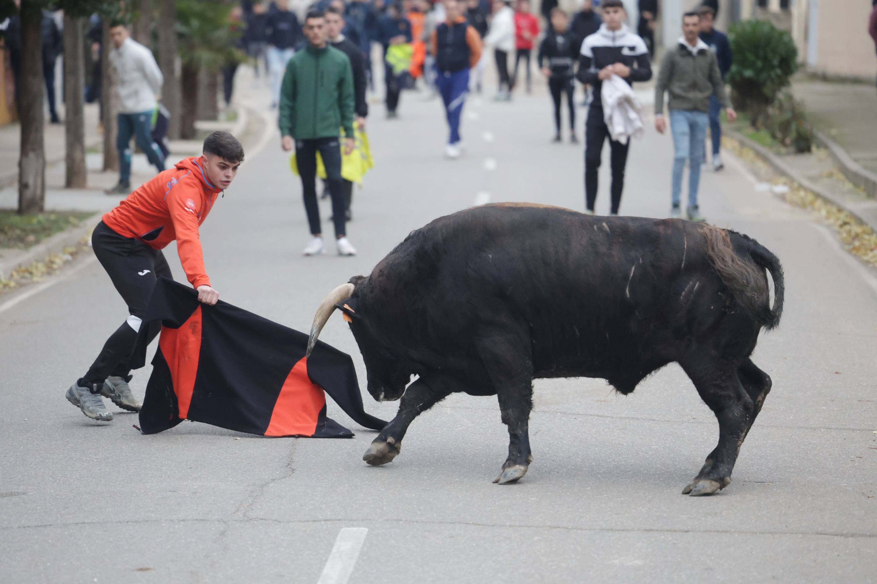 El encierro en Pollos, en imágenes